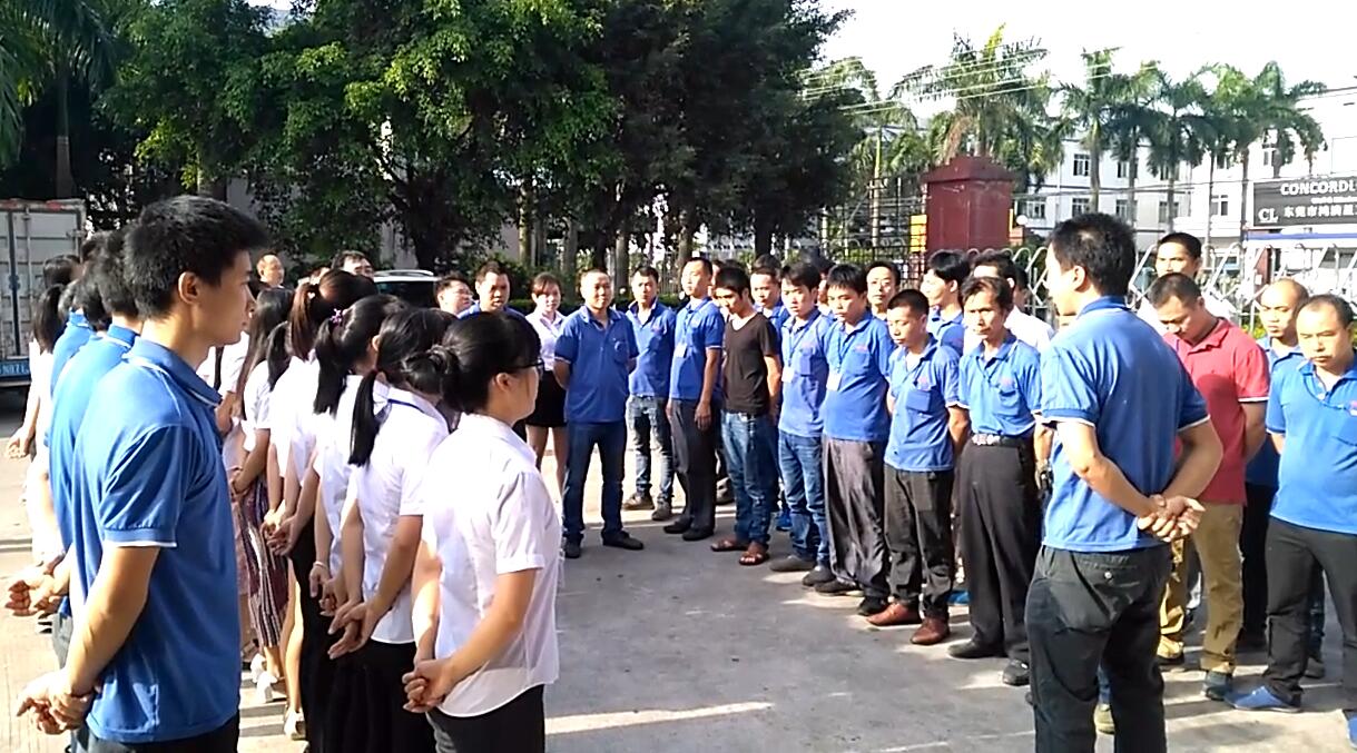 耐格美人员整齐的队列 耐格美人员整齐的队列